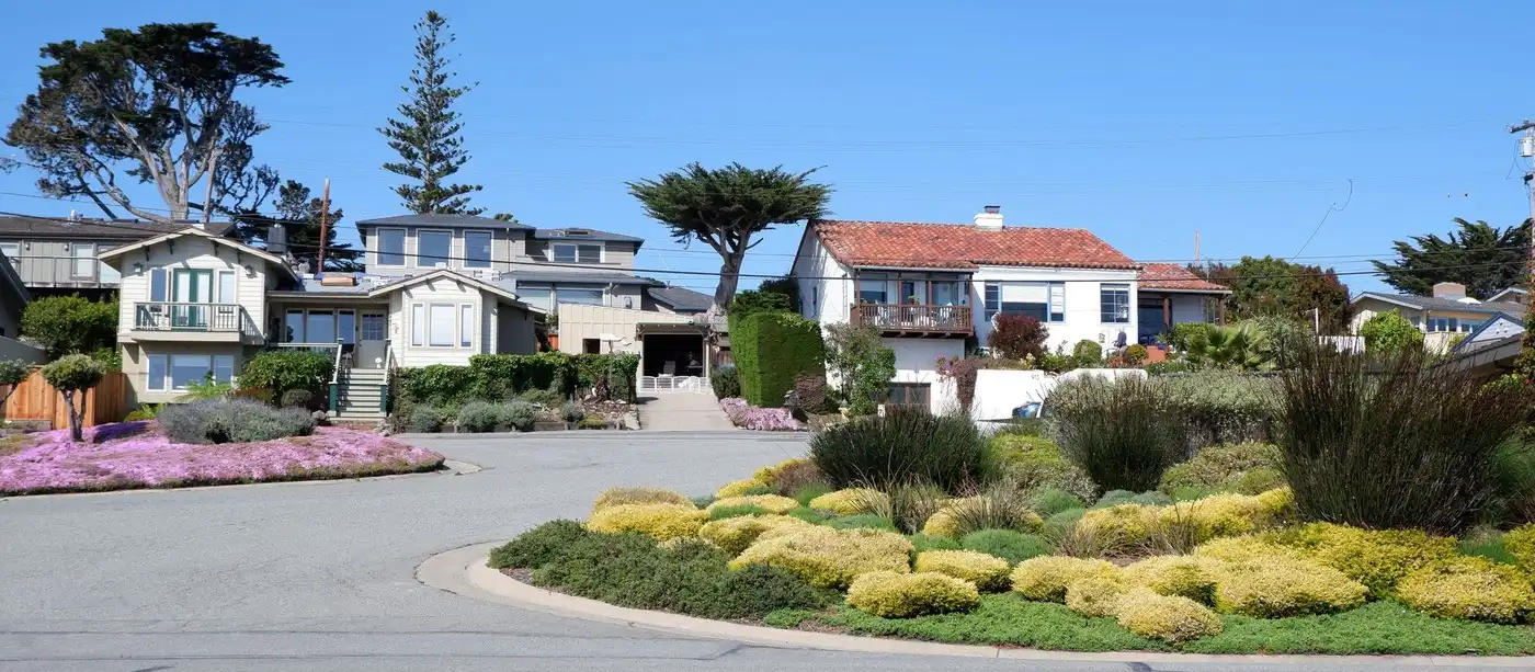 Coastal suburban street of houses with garages and salt-tolerant planting